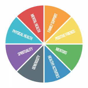 A wheel that is divided into 8 sections, each is a different color. The sections are labeled mental health, physical health, spirituality, generosity, healthy activities, mentors, positive friends, family support.